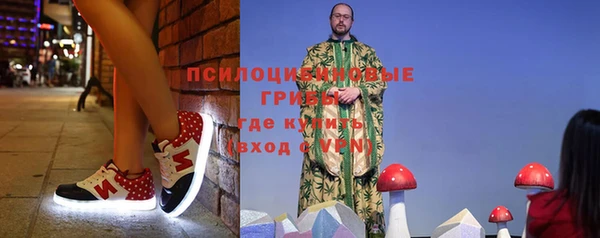 герыч Алексин