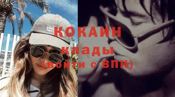 крисы Абаза