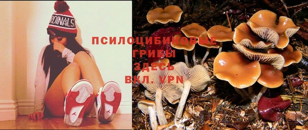 герыч Алексин