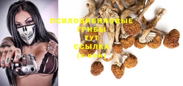 2c-b Алексеевка